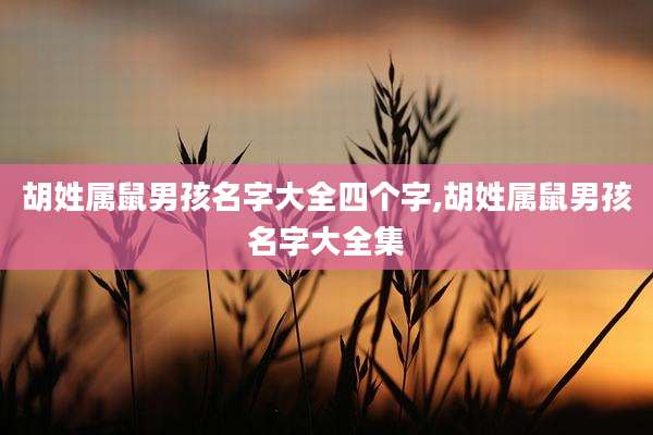 胡姓属鼠男孩名字大全四个字,胡姓属鼠男孩名字大全集