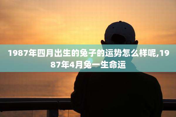 1987年四月出生的兔子的运势怎么样呢,1987年4月兔一生命运