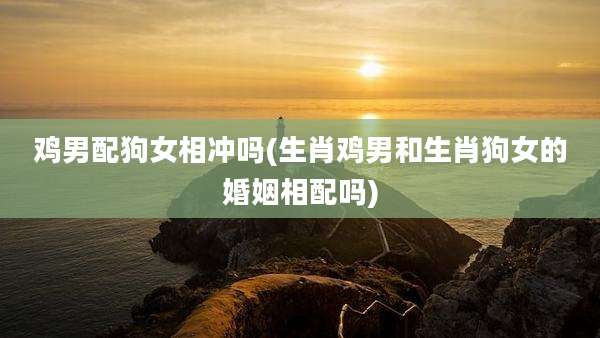 鸡男配狗女相冲吗(生肖鸡男和生肖狗女的婚姻相配吗)