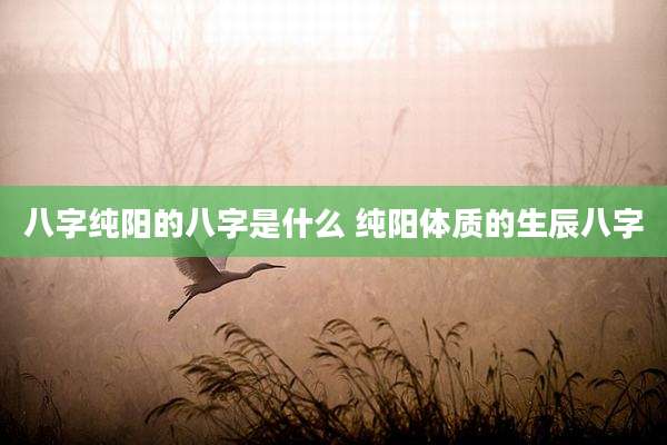 八字纯阳的八字是什么 纯阳体质的生辰八字