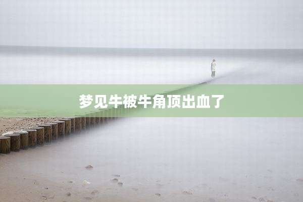 梦见牛被牛角顶出血了