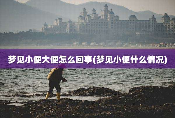 梦见小便大便怎么回事(梦见小便什么情况)