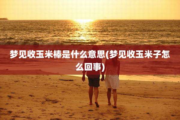 梦见收玉米棒是什么意思(梦见收玉米子怎么回事)