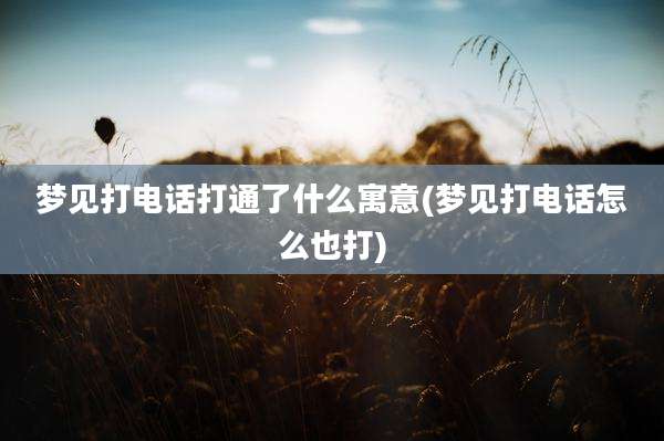 梦见打电话打通了什么寓意(梦见打电话怎么也打)