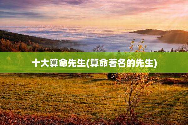 十大算命先生(算命著名的先生)