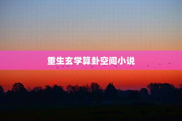重生玄学算卦空间小说