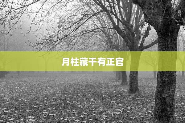 月柱藏干有正官