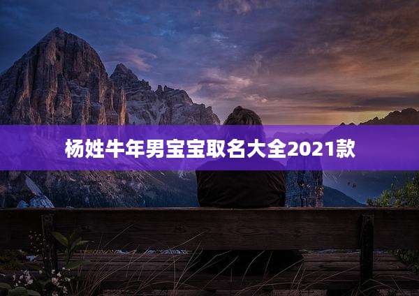 杨姓牛年男宝宝取名大全2021款