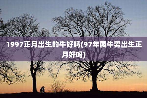 1997正月出生的牛好吗(97年属牛男出生正月好吗)