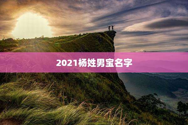 2021杨姓男宝名字