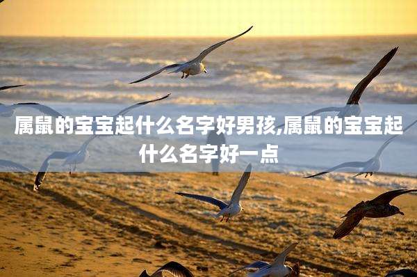 属鼠的宝宝起什么名字好男孩,属鼠的宝宝起什么名字好一点