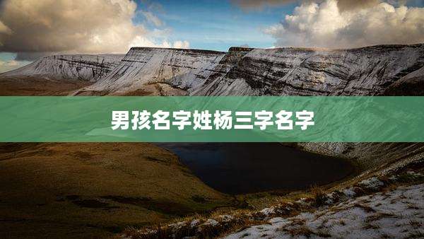 男孩名字姓杨三字名字