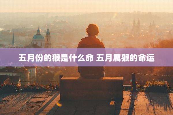 五月份的猴是什么命 五月属猴的命运