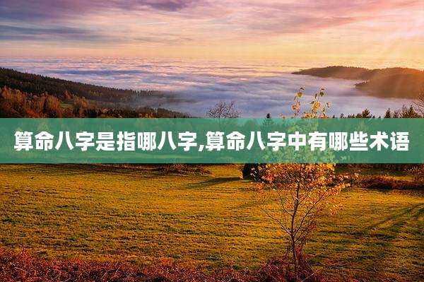 算命八字是指哪八字,算命八字中有哪些术语