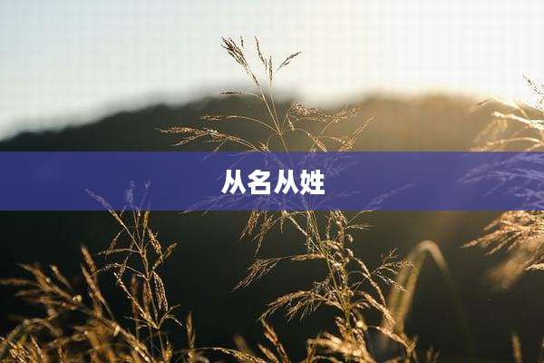 从名从姓