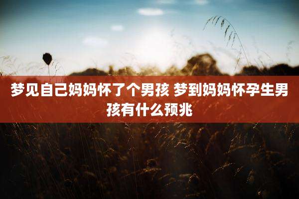 梦见自己妈妈怀了个男孩 梦到妈妈怀孕生男孩有什么预兆