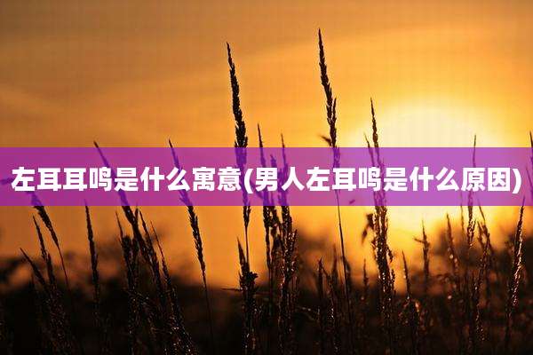 左耳耳鸣是什么寓意(男人左耳鸣是什么原因)