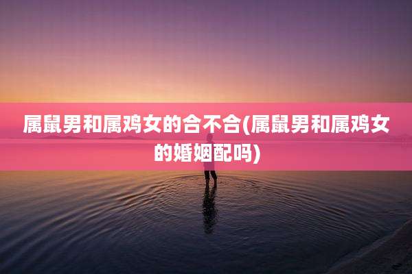 属鼠男和属鸡女的合不合(属鼠男和属鸡女的婚姻配吗)