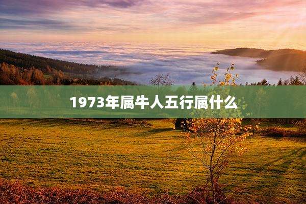 1973年属牛人五行属什么