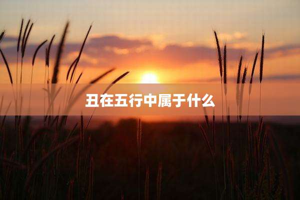 丑在五行中属于什么