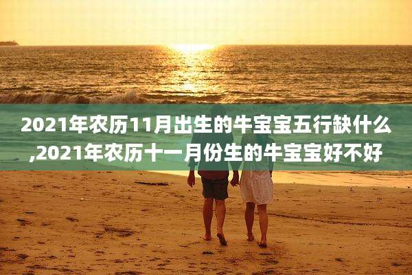 2021年农历11月出生的牛宝宝五行缺什么,2021年农历十一月份生的牛宝宝好不好
