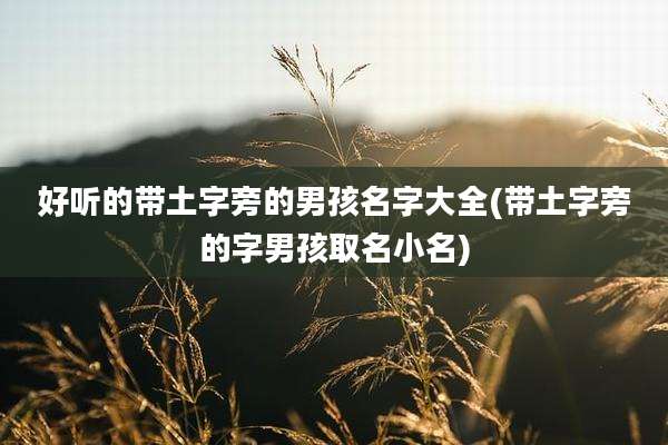 好听的带土字旁的男孩名字大全(带土字旁的字男孩取名小名)