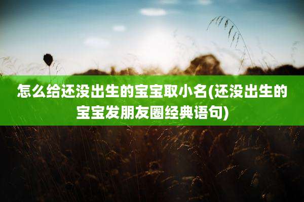怎么给还没出生的宝宝取小名(还没出生的宝宝发朋友圈经典语句)