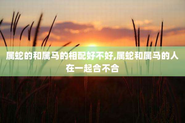 属蛇的和属马的相配好不好,属蛇和属马的人在一起合不合
