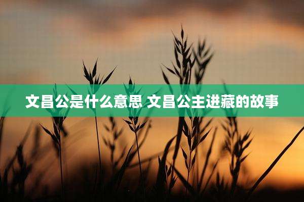 文昌公是什么意思 文昌公主进藏的故事