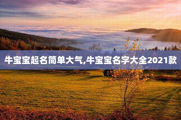 牛宝宝起名简单大气,牛宝宝名字大全2021款