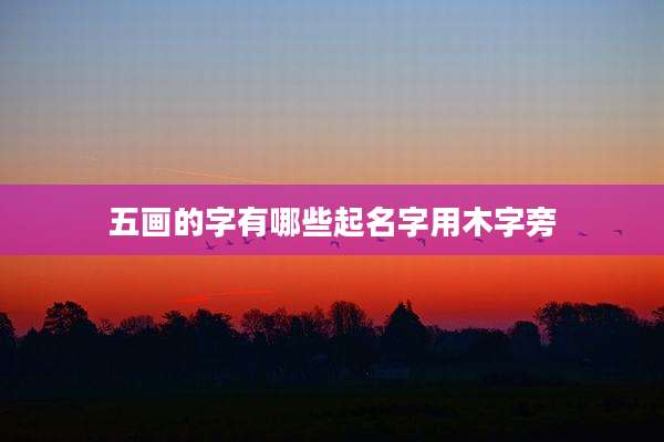 五画的字有哪些起名字用木字旁