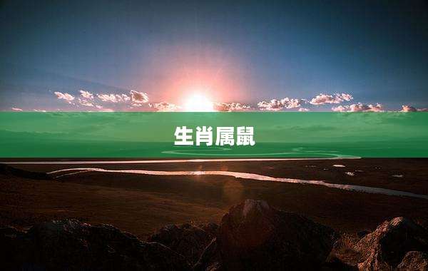 生肖属鼠