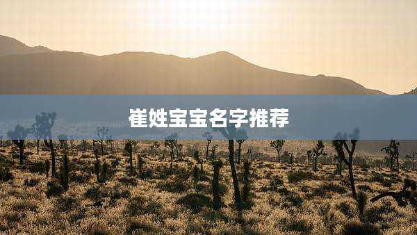 崔姓宝宝名字推荐
