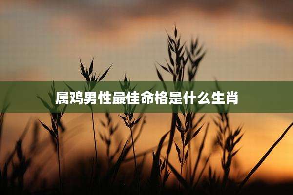 属鸡男性最佳命格是什么生肖