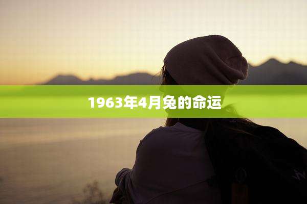 1963年4月兔的命运