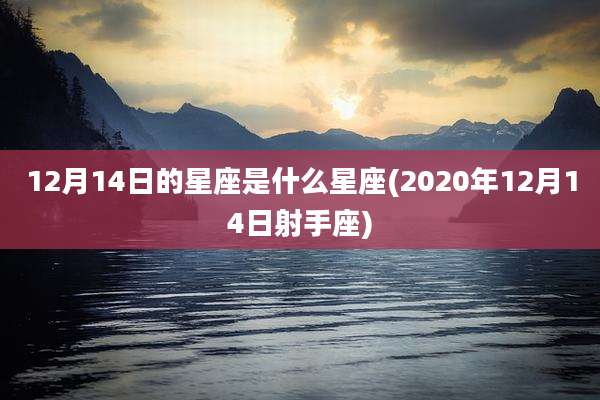 12月14日的星座是什么星座(2020年12月14日射手座)