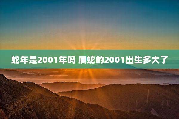 蛇年是2001年吗 属蛇的2001出生多大了