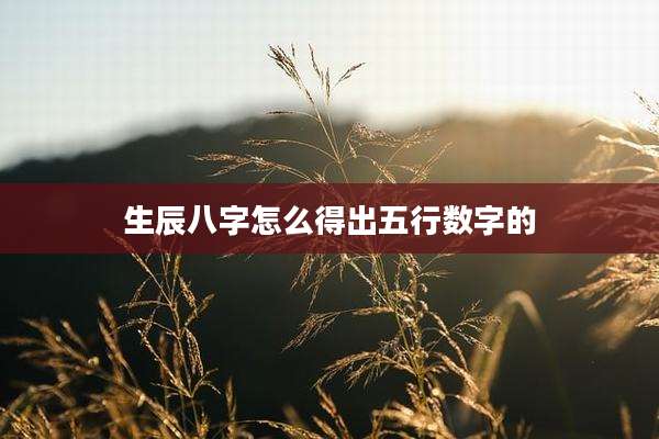 生辰八字怎么得出五行数字的