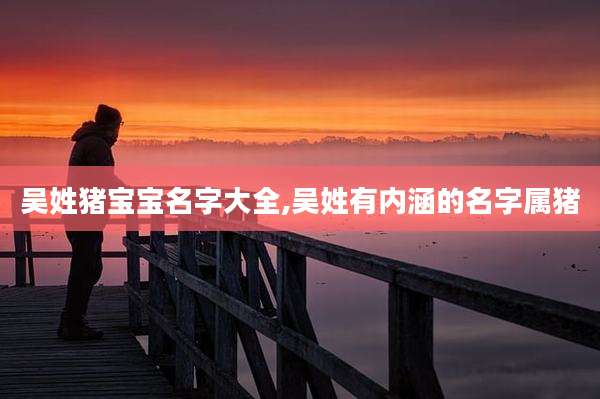 吴姓猪宝宝名字大全,吴姓有内涵的名字属猪