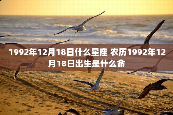 1992年12月18日什么星座 农历1992年12月18日出生是什么命