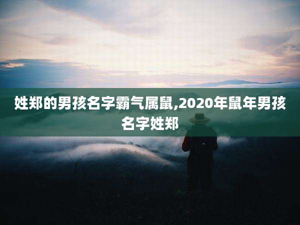 姓郑的男孩名字霸气属鼠,2020年鼠年男孩名字姓郑