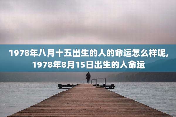 1978年八月十五出生的人的命运怎么样呢,1978年8月15日出生的人命运