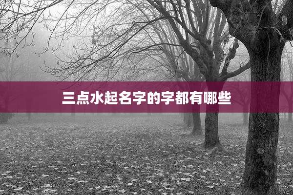 三点水起名字的字都有哪些