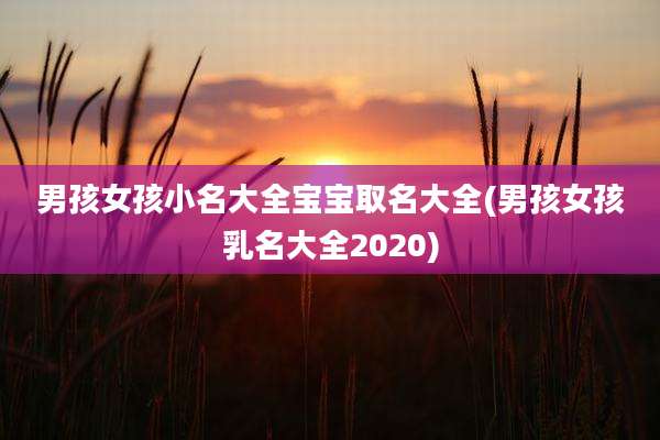 男孩女孩小名大全宝宝取名大全(男孩女孩乳名大全2020)
