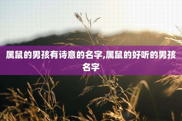 属鼠的男孩有诗意的名字,属鼠的好听的男孩名字