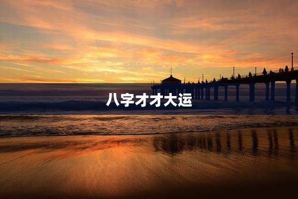 八字才才大运