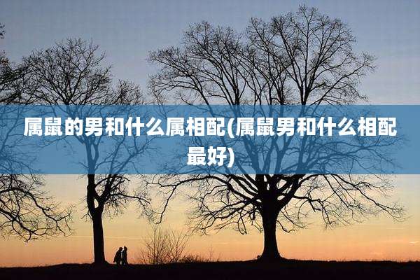 属鼠的男和什么属相配(属鼠男和什么相配最好)