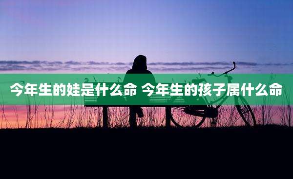 今年生的娃是什么命 今年生的孩子属什么命