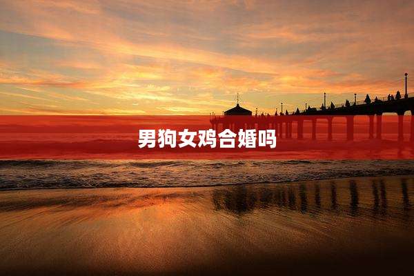 男狗女鸡合婚吗