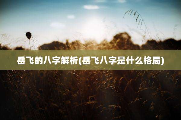 岳飞的八字解析(岳飞八字是什么格局)